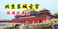 男人把肌肌插进去女人的中国北京-东城古宫旅游风景区