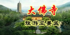 几个大鸡巴日骚逼水视频中国浙江-新昌大佛寺旅游风景区